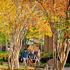Students walking outside. Links to Gifts That Protect Your Assets